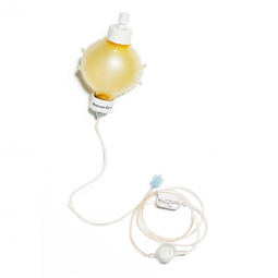 Homepump Eclipse* Avanos Medical E252500-Homepump Eclipse Ambulatory Infusion System, Infusion Pumps