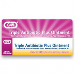 G & W G & W Laboratories 00713062231-G & W First Aid Antibiotic with Pain Relief, First Aid Supplies