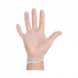 Halyard O&M Halyard 55032-Halyard Vinyl Exam Glove, Medium, Clear, Exam Gloves (CS) - Halyard Vinyl 