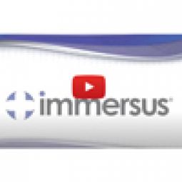 Immersus 48x82" Foam Mattress For Bed Sores & Ultimate Comfort-800 lb Capacity
